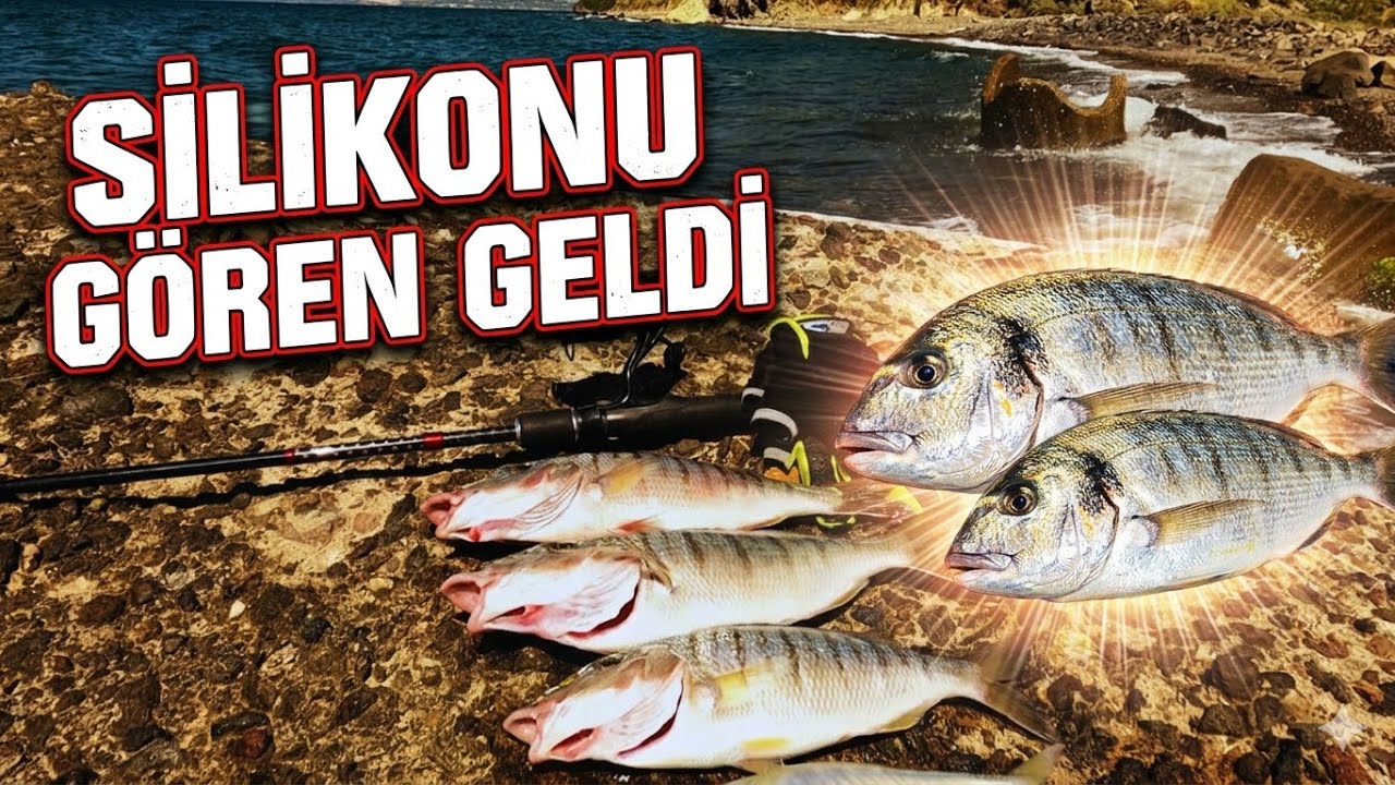 ловля морского окуня