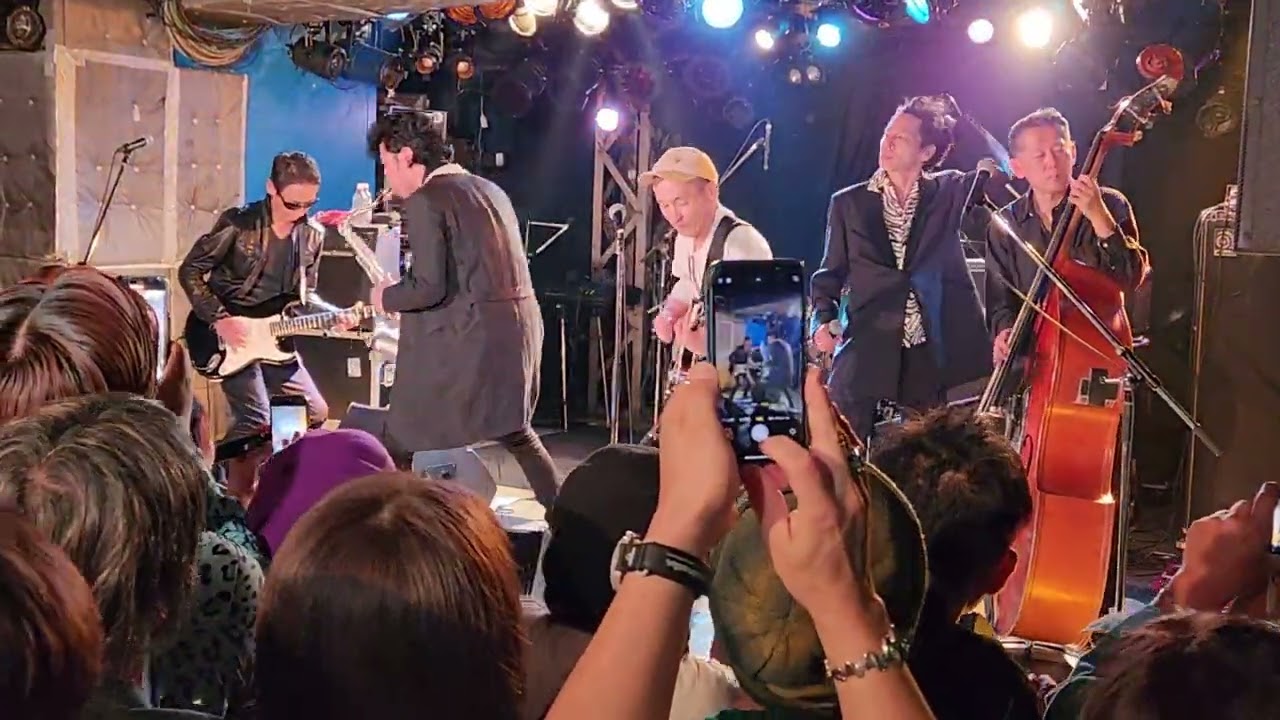 HILLBILLY BOPS – ビシバシ純情 (Live, Oct 5, 2024)