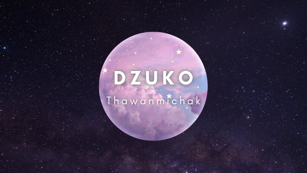 THAWANMICHAK | DZUKO | OFFICIAL LYRICS VIDEO