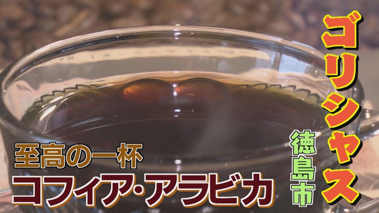 【ゴジカル！】ゴリシャス・コフィア・アラビカ（徳島市）