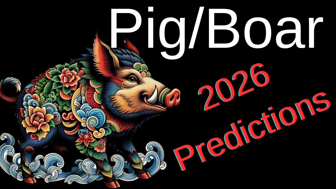 Китайская астрология на 2026 год — прогнозы для Свиньи или Кабана
