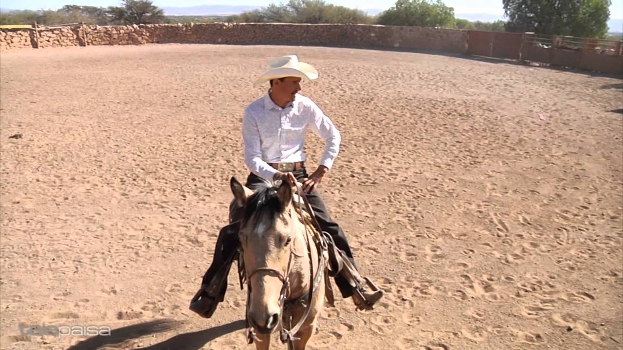 Tecnicas para Hacer un Caballo Coleador 1