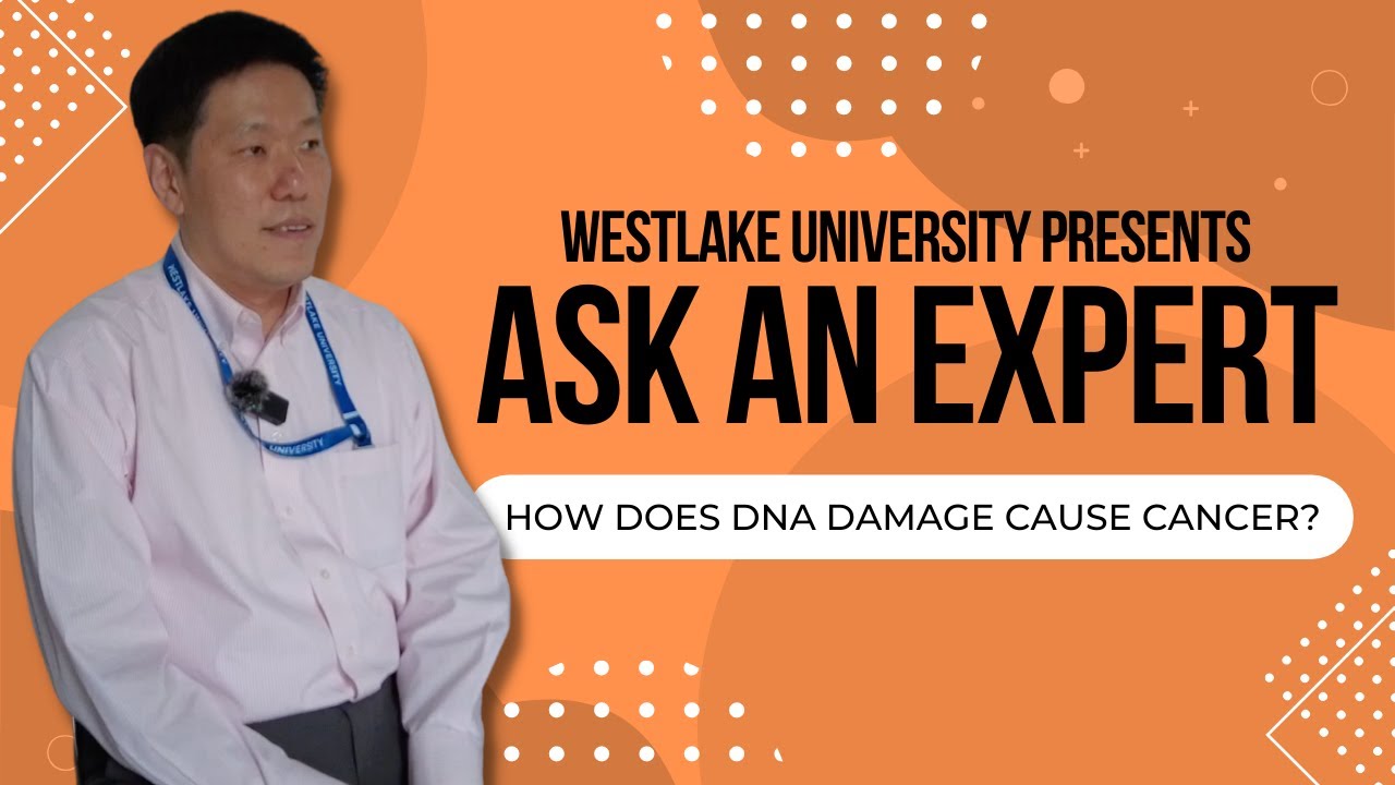 How Does DNA Damage Cause Cancer? | Ask an Expert