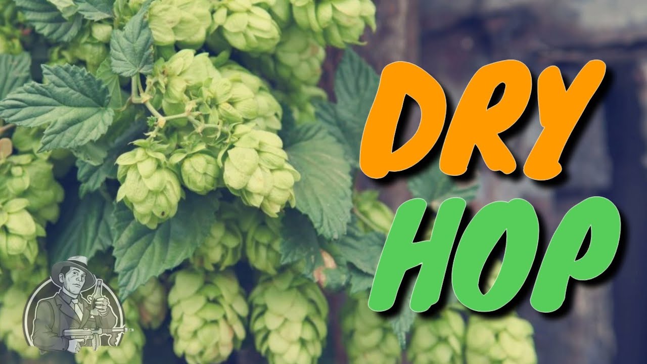 DRY HOP para potenciar el aroma de tus Cervezas Artesanales | La Birra Nostra