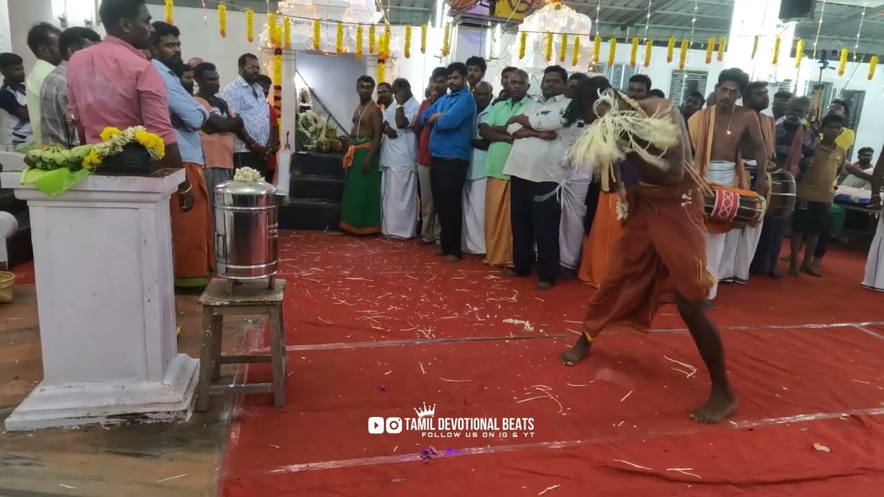 பெருமாள் சுவாமி சாமியாட்டம் முழுவதும்...🙏🏻|காவல்கிணறு ஸ்ரீ வடபத்திரகாளி அம்மன் கோவில் கொடை விழா |