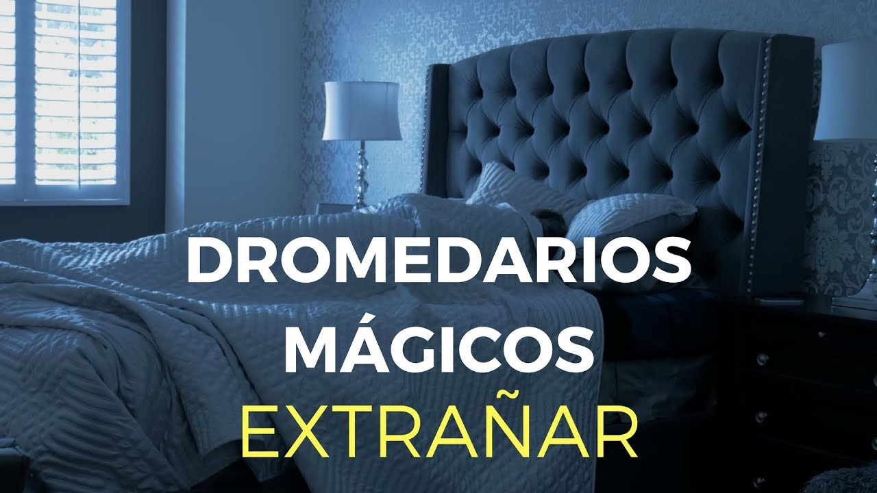 Dromedarios M&aacute;gicos - Extra&ntilde;ar (Video Oficial)
