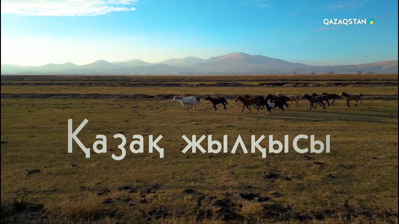 Қазақ жылқысы. Арнайы жоба