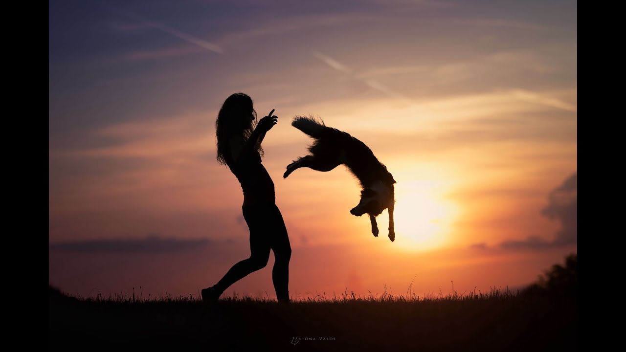 Petite danse d'&eacute;t&eacute; avec mon chien 🌺  | Laetitia Gonnon - Eduzen