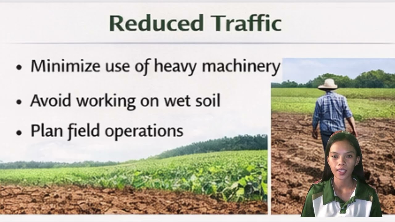 Management Strategies (Soil Compaction)