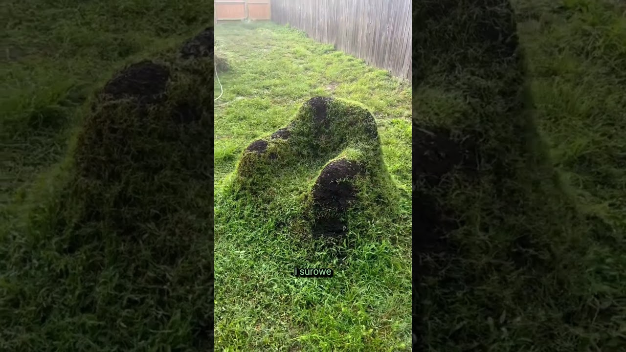 Najbardziej zielony tron wszech czas&oacute;w! 🌿✨