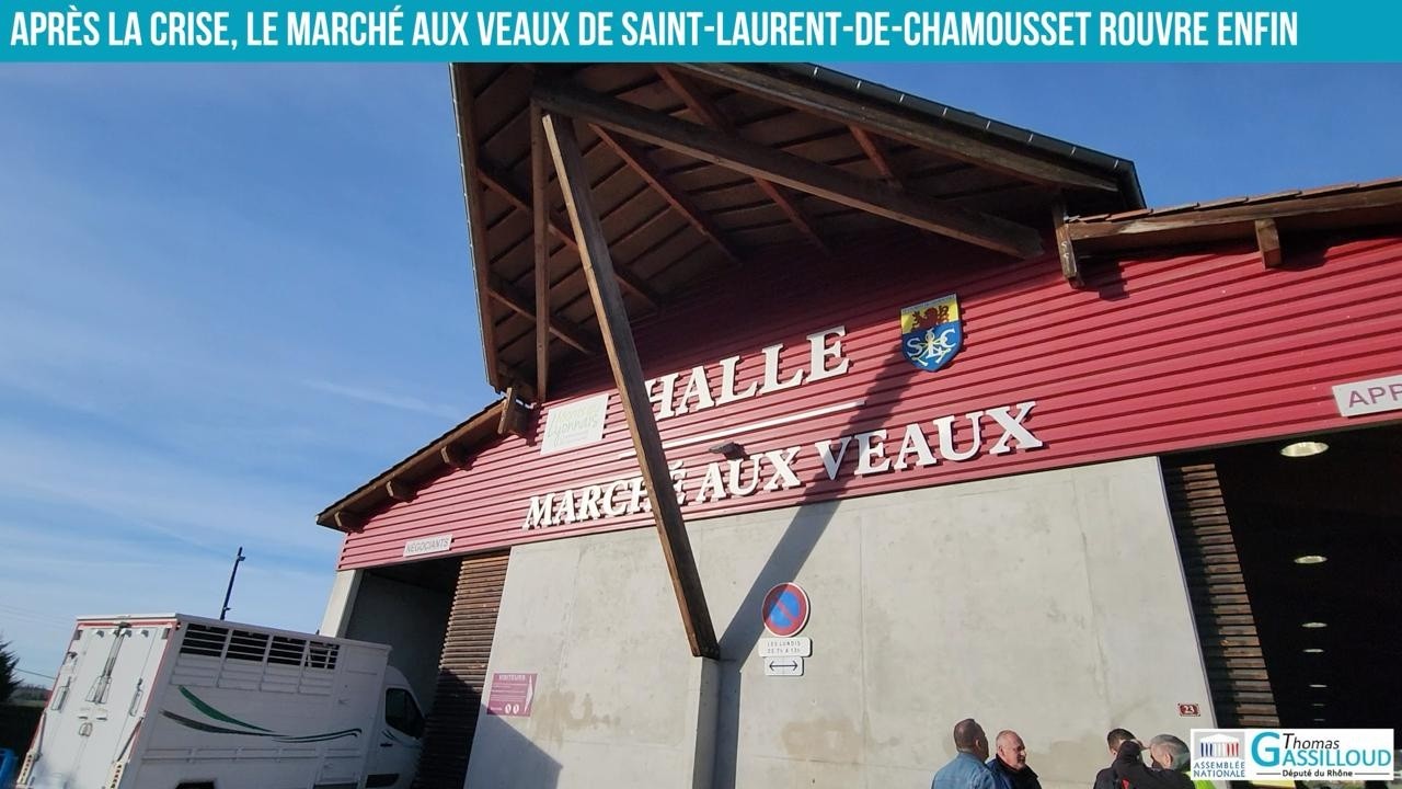 #436 À Saint-Laurent-de-Chamousset, le marché aux veaux reprend vie