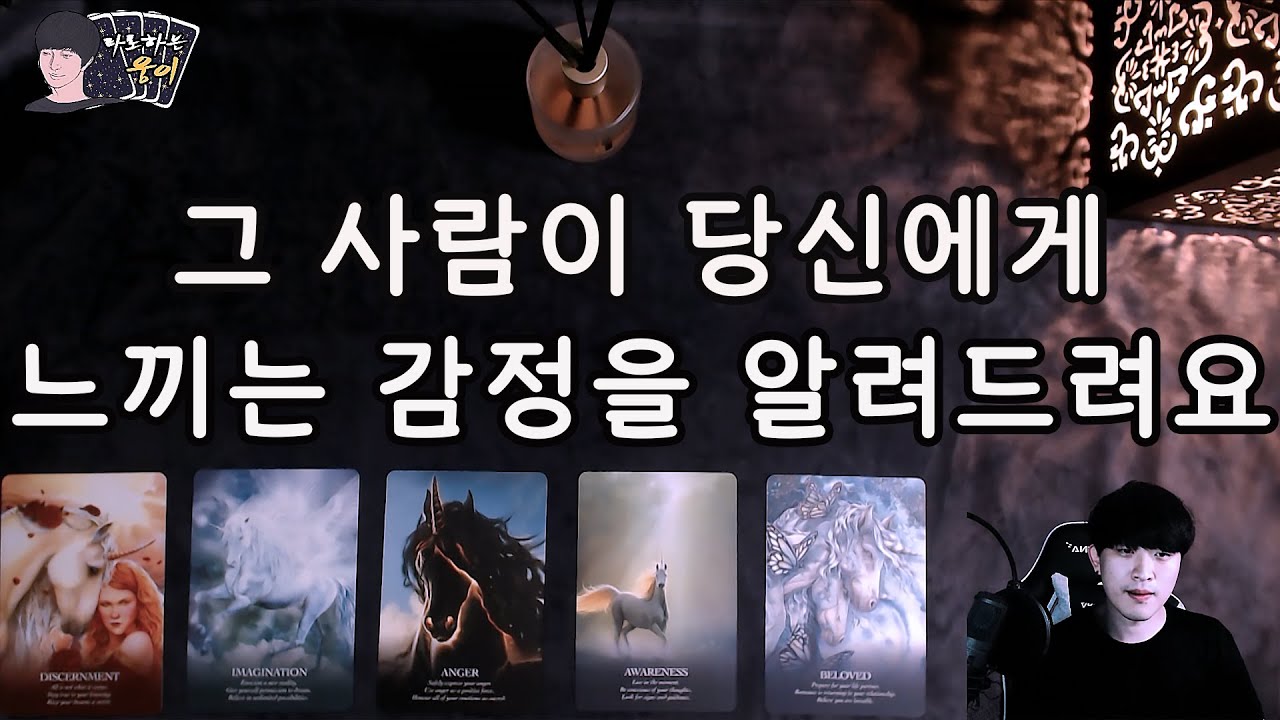 (타로)그 사람 나와 어떻게 하고 싶은 걸까?