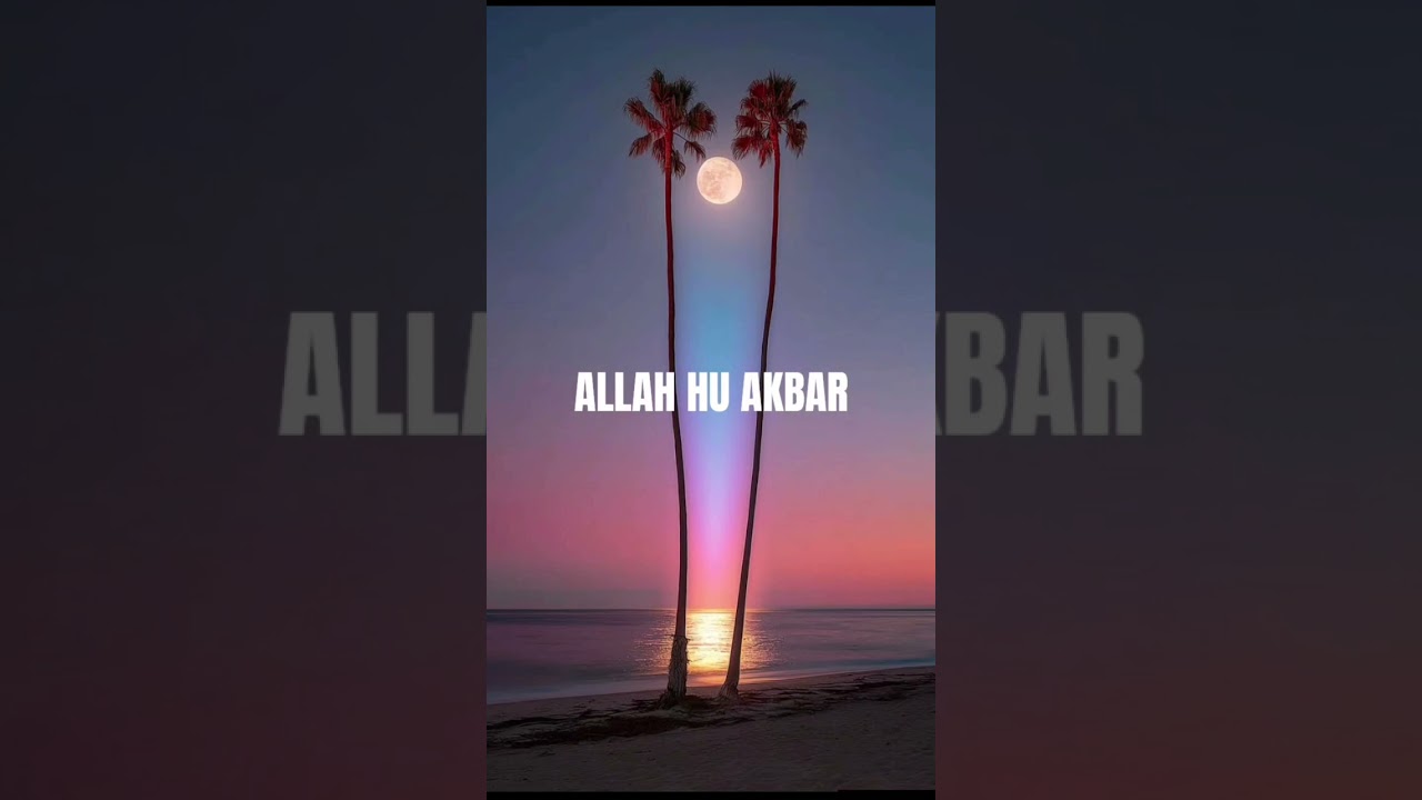 Quran Urdu translation | hi Salique |January 24, 2026