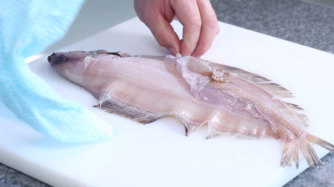 Master Fishmonger Standard Guide to Skinning and Filleting Flatfish - Witch