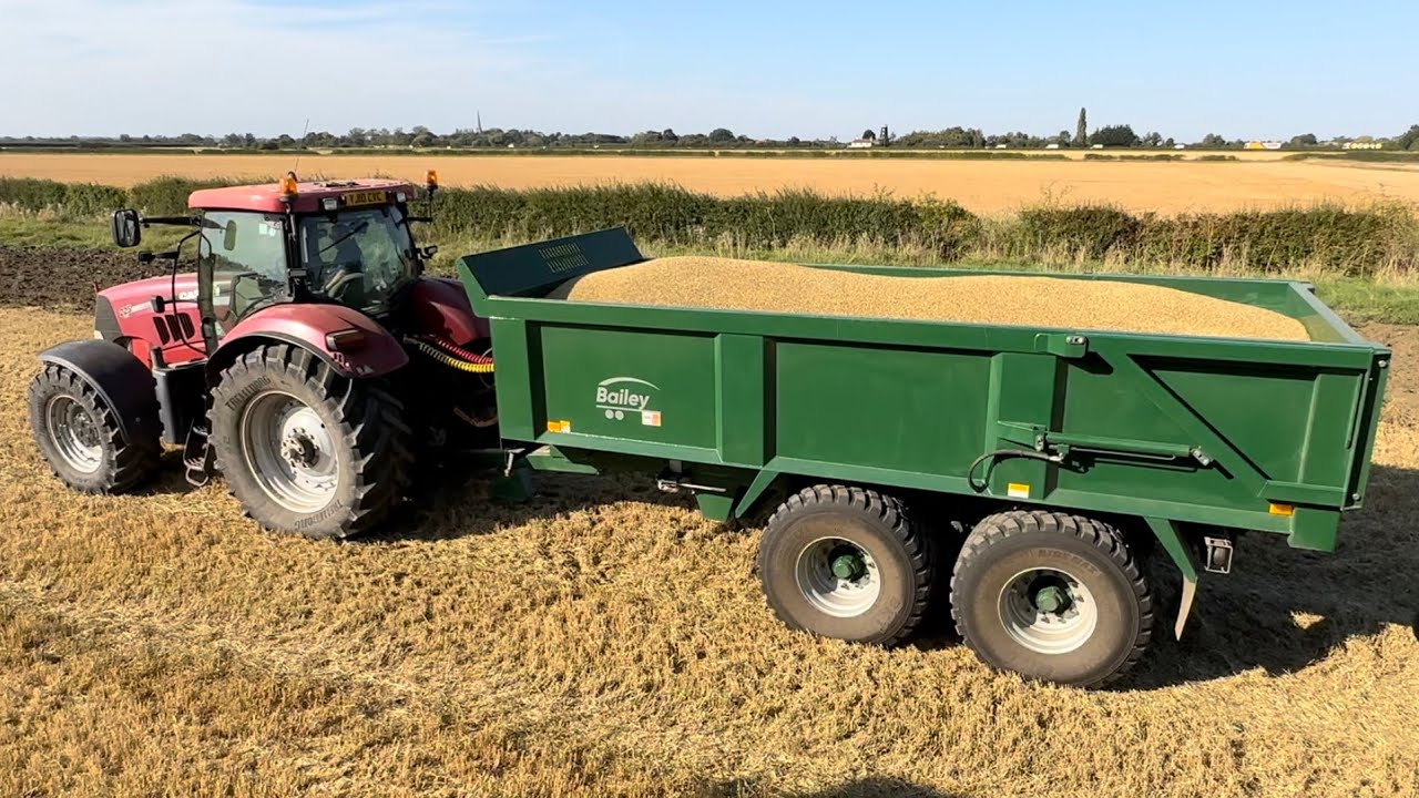 FARM UPDATE 180 HARVESTING SPRING BARLEY DESTINED FOR SEED, INJURED AT NEW HOUSE PARTY