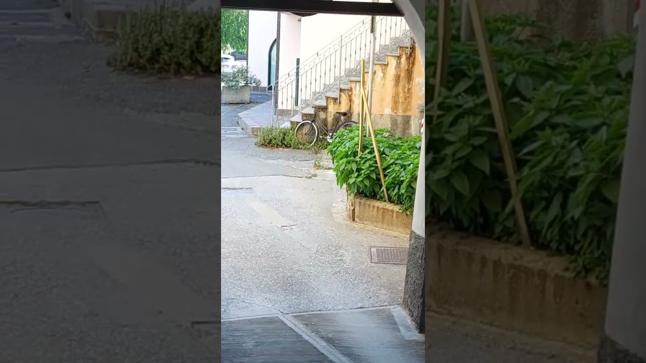 Centro Storico di Carcare clip 2