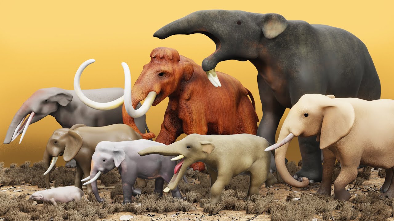Elephants size comparison with Lego minifigures