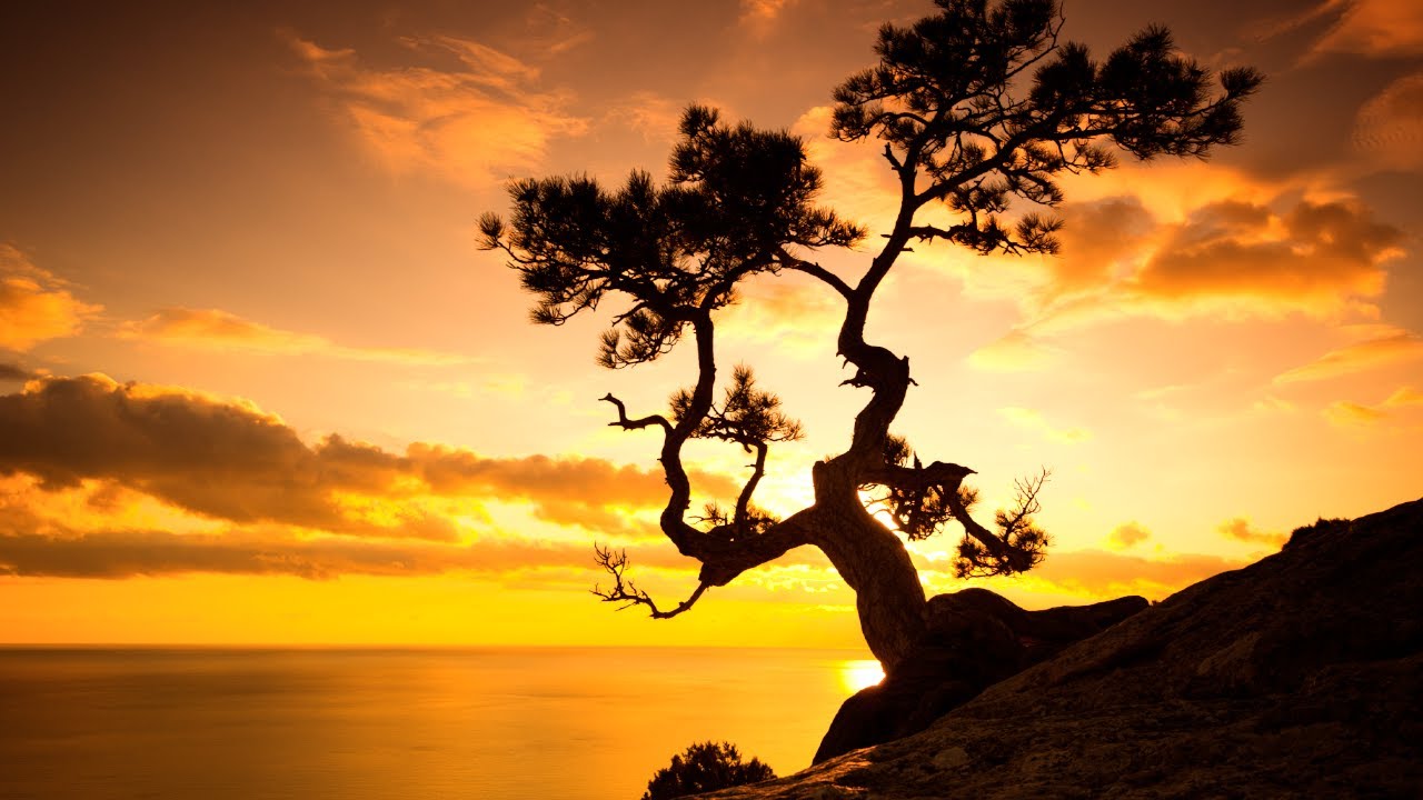 30 Minute Relaxing Music • Meditation music, Yoga, Spa, Work and Studying Music