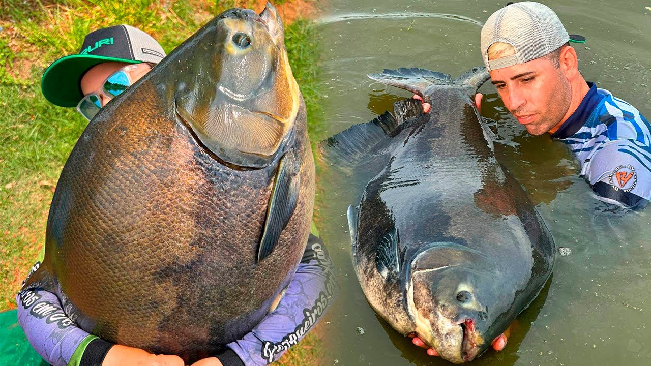 ACERTAMOS O DIA / PESCARIA PERFEITA NO RECANTO TAMBAQUI