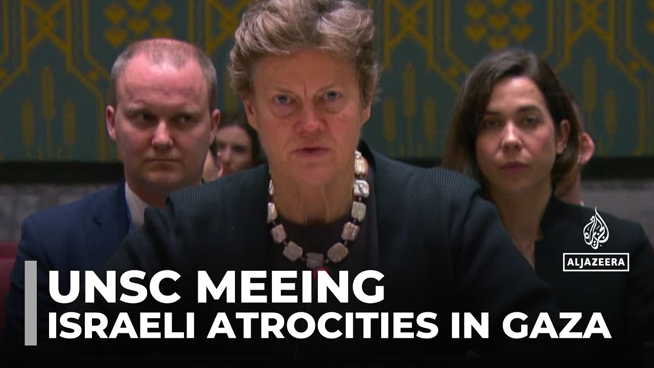 UN Security Council meets as ambassadors condemn Israeli atrocities in Gaza
