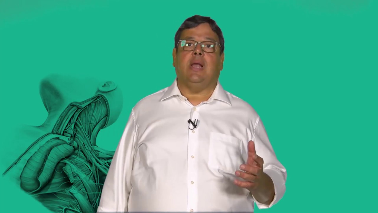 Sobotta | Atlas de Anatomia Humana - 24&ordf;edi&ccedil;&atilde;o - A f&oacute;rmula perfeita para o estudo da Anatomia!