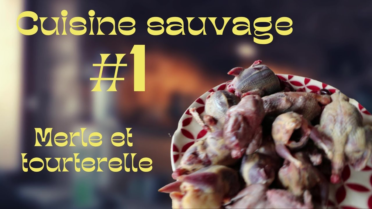 Cuisine sauvage #1 - Merle enrobé de lard et Tourterelle mijoté