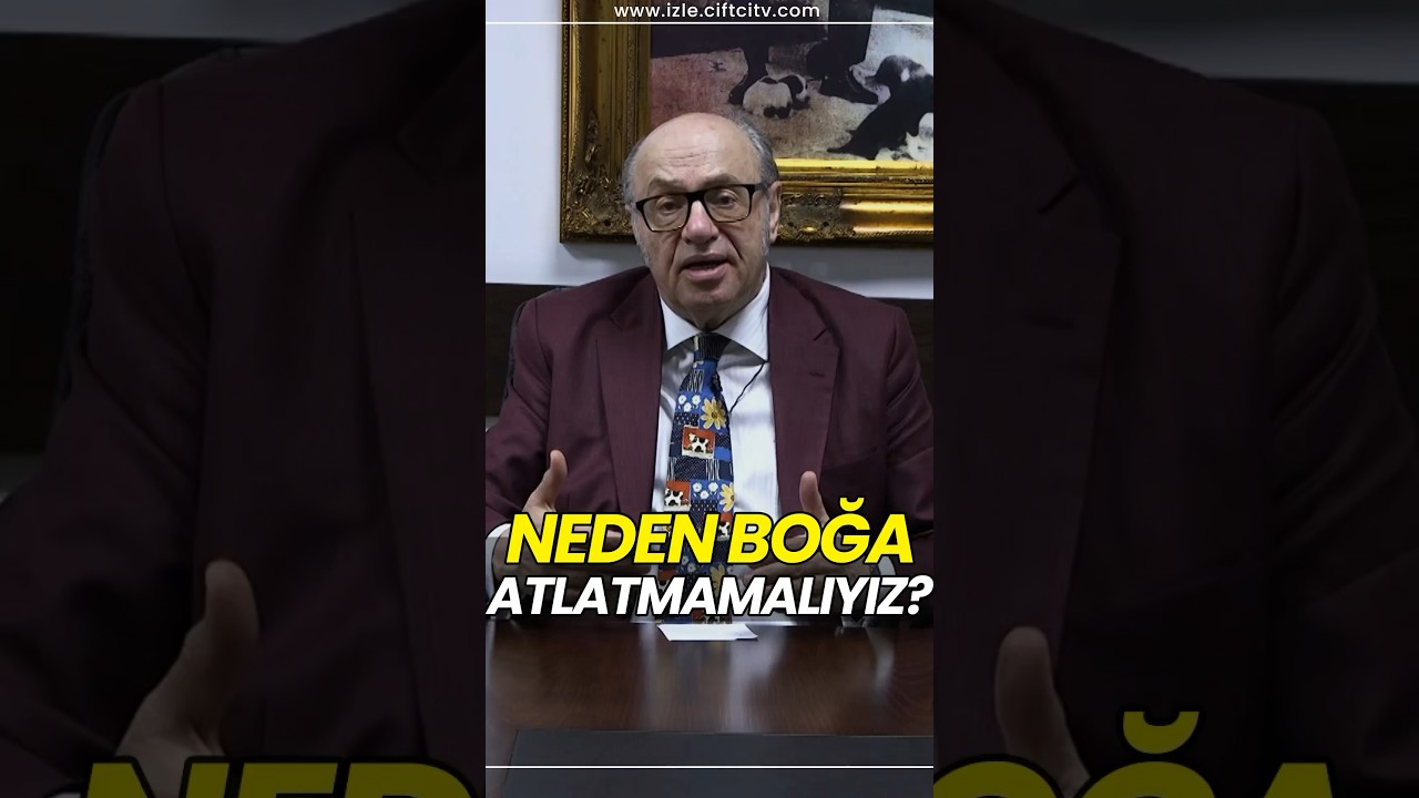 Neden boğa atlatmamalıyız? 👈