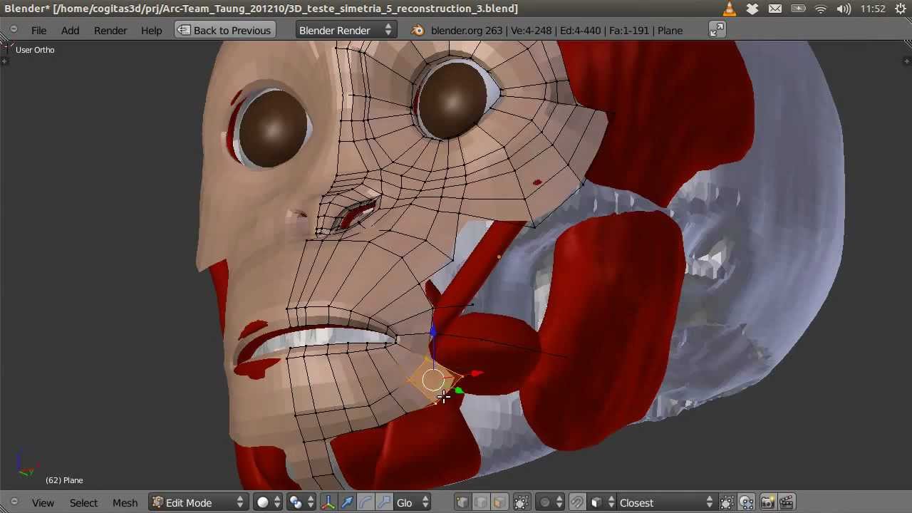 Taung Child - Skin Modeling