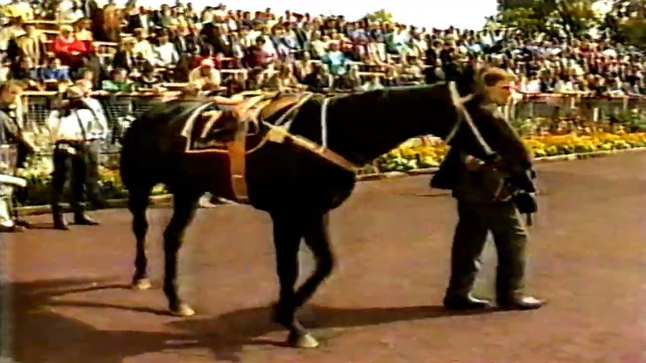 1988 MVRC MOONEE VALLEY W S Cox Plate Day News Reports