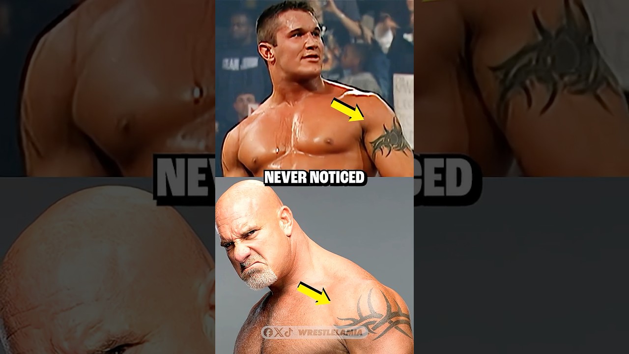 Вещи, которые мы никогда не замечали в WWE