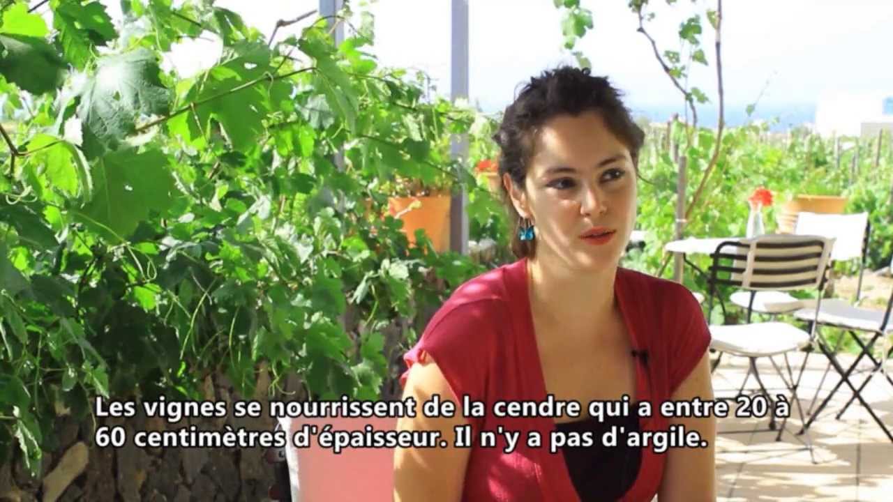 domaine sigalas