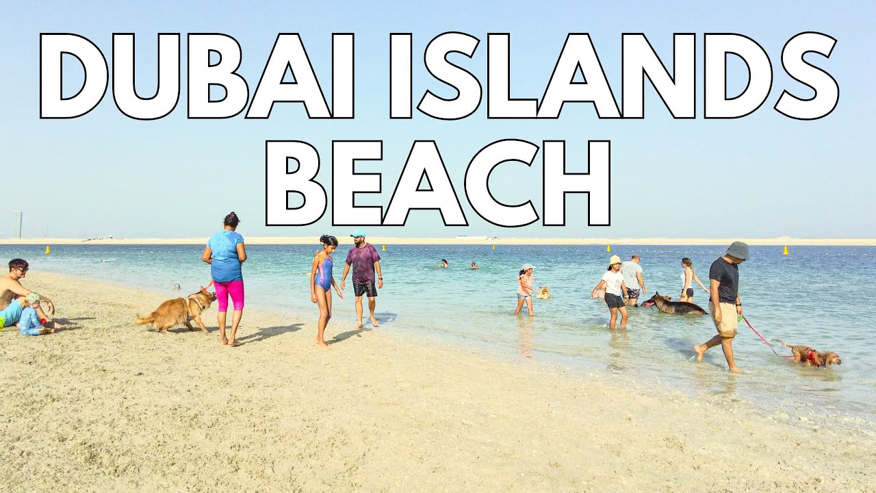 Newly Opened Pet Friendly Beach at Dubai Islands | Dubai Islands Beach