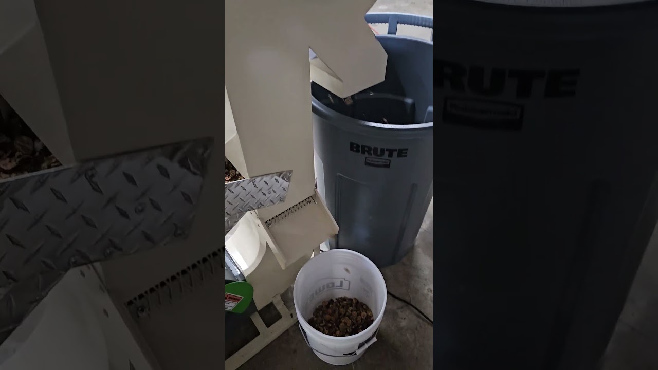 Pecan Shelling