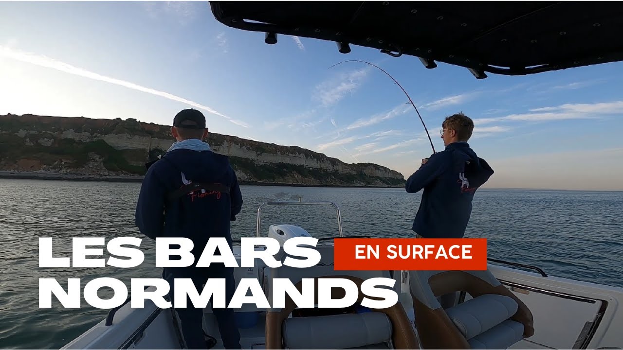Pêche du bar en bateau et depuis le bord au Havre !