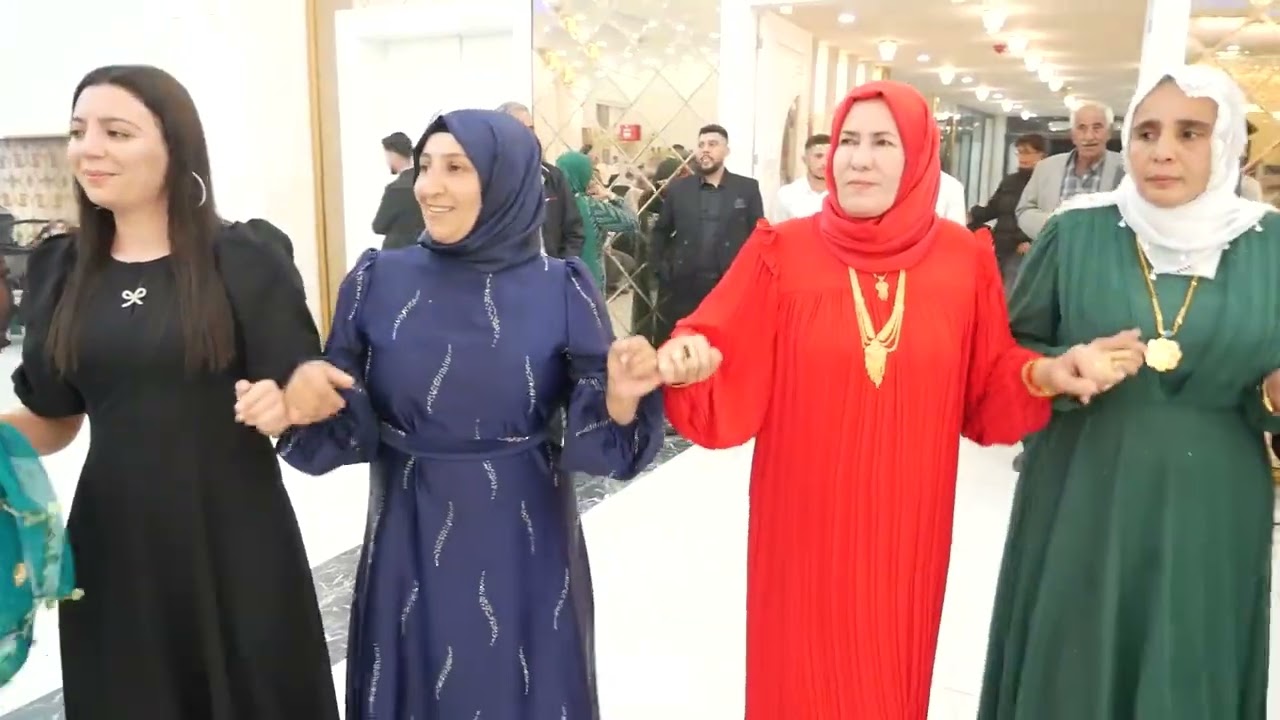 1. Halay segavi