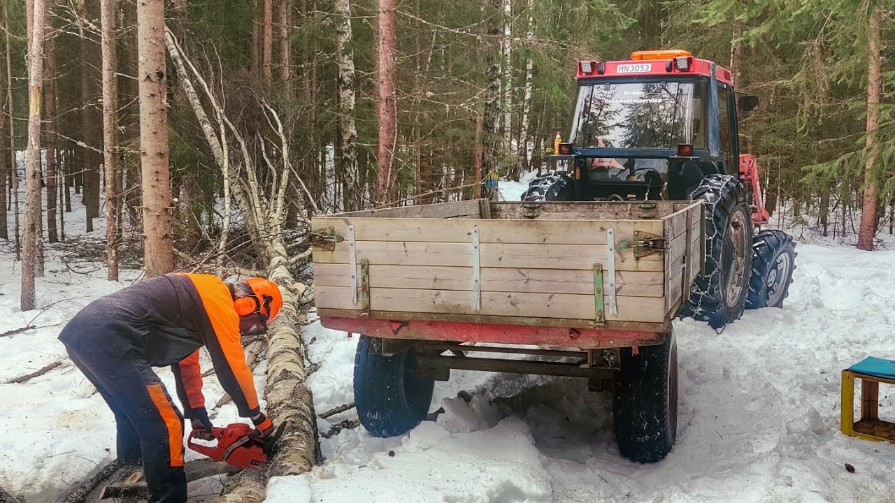 Case tractor collecting firewood 🚜🌳 #58
