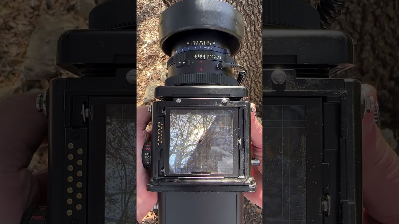 Shooting digital with a Mamiya RZ67 + Phase One IQ280 80MP&ndash;vintage meets modern. #MamiyaRZ67 #iQ280