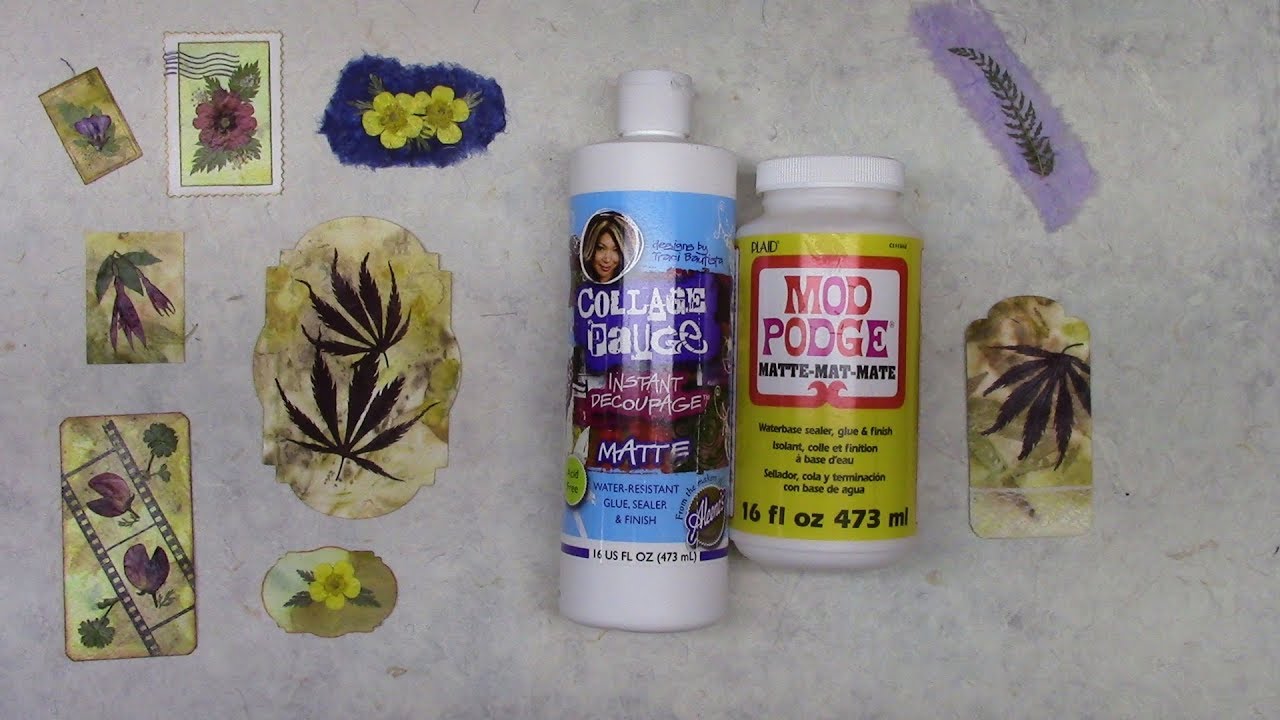 Protecting Pressed Flowers with Collage Pauge vs Mod Podge | Process Video | Embellishments