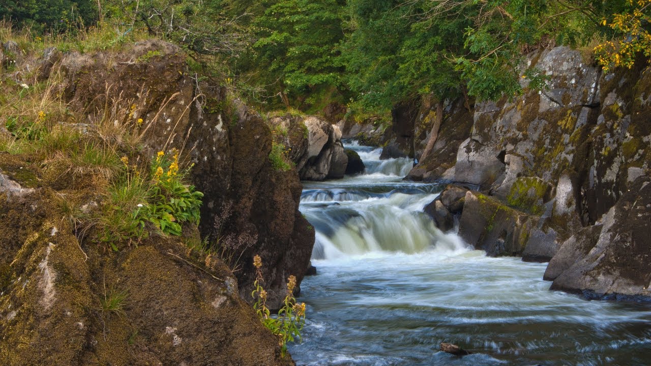 Cenarth Falls River Walk Newcastle Emlyn Ceredigion Wales