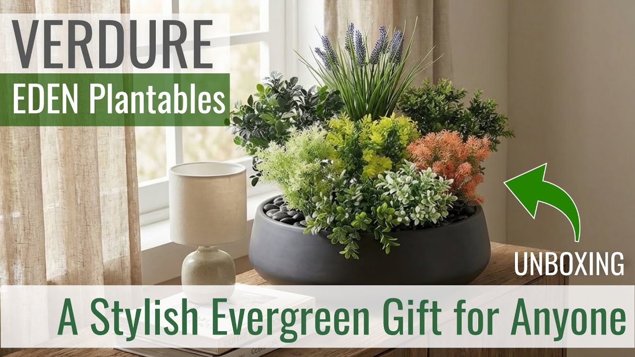 A Stylish Evergreen Gift for Anyone — DECKO Verdure Artificial Plants Unboxing