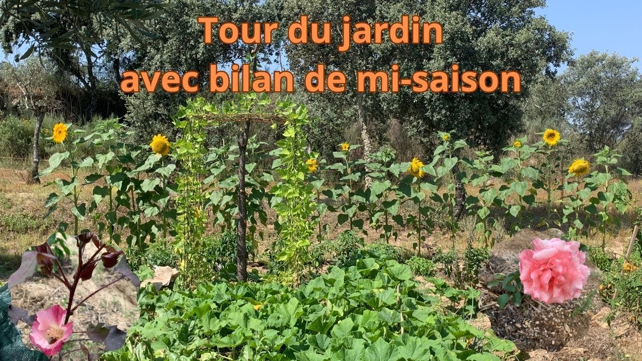 Tour du jardin avec bilan de mi-saison
