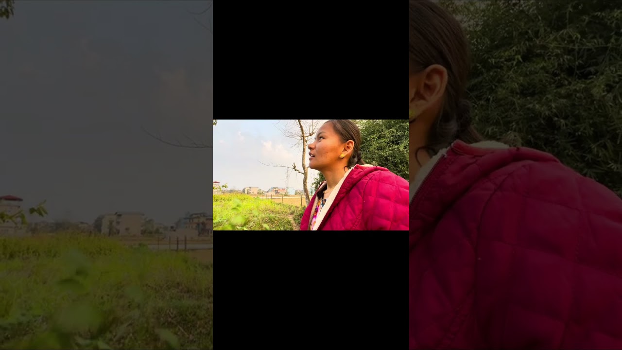 Vauju haru sanga bel ko bot khojdai 🌸bijo ramilo cha 😕#gaindakot 