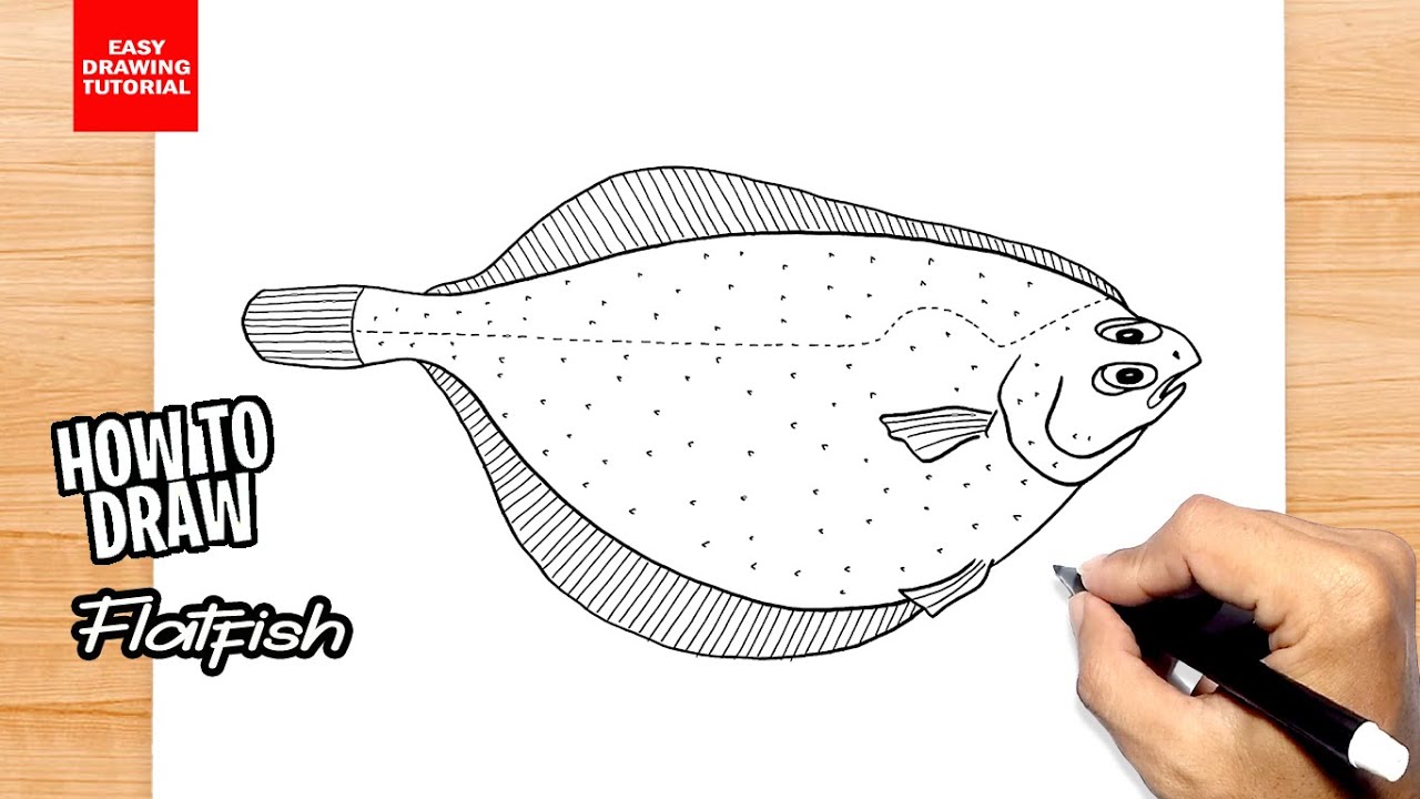 How to draw Flatfish