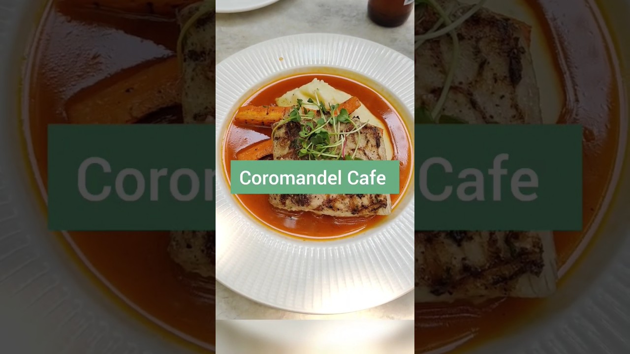 Pondicherry food series | Coromandel cafe #shorts #ep6