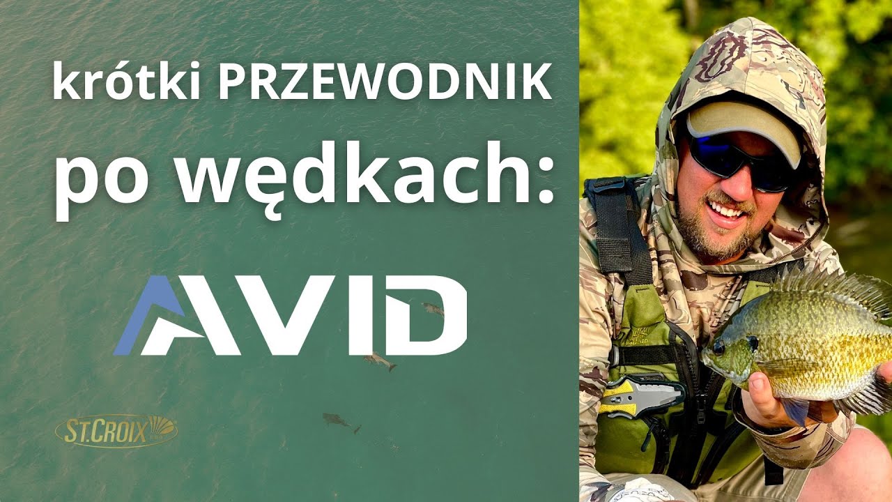 Wszystko co musisz wiedzieć o wędkach Avid!