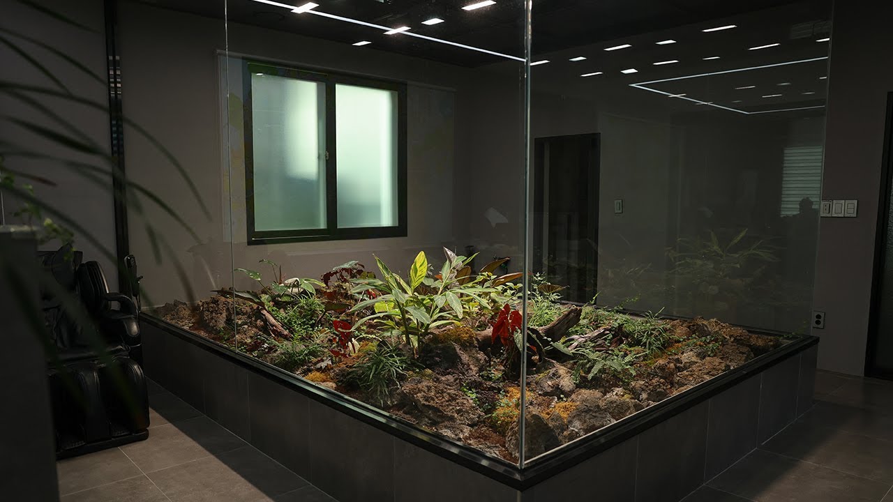 Redecorating a large indoor terrarium I built 3 years ago! | 3년전 만든 실내의 빅 테라리움 다시 꾸미기!