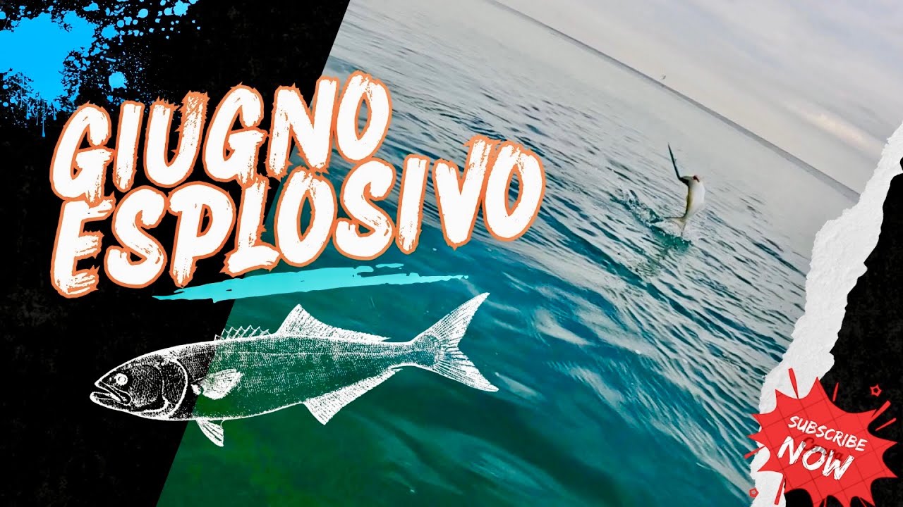 Pesca a spinning in mare da riva in cerca di predatori (Spinning fishing in the sea )