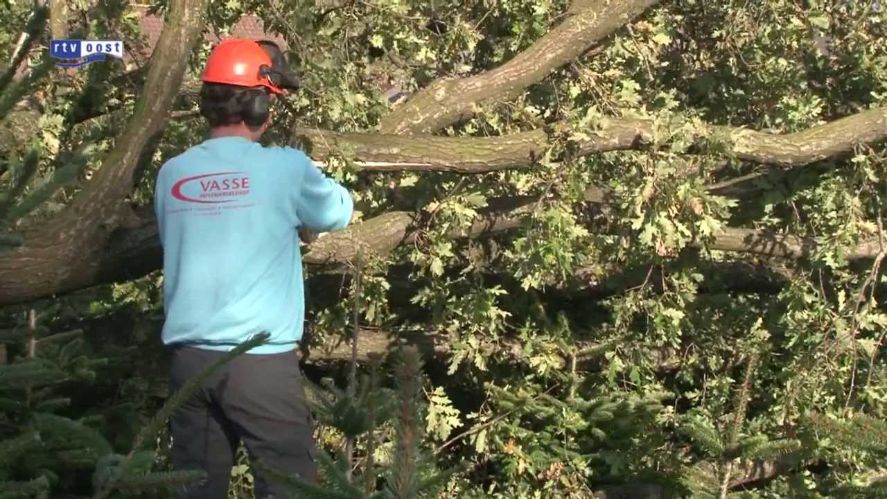 Hoveniers en gemeenten druk met opruimen stormschade