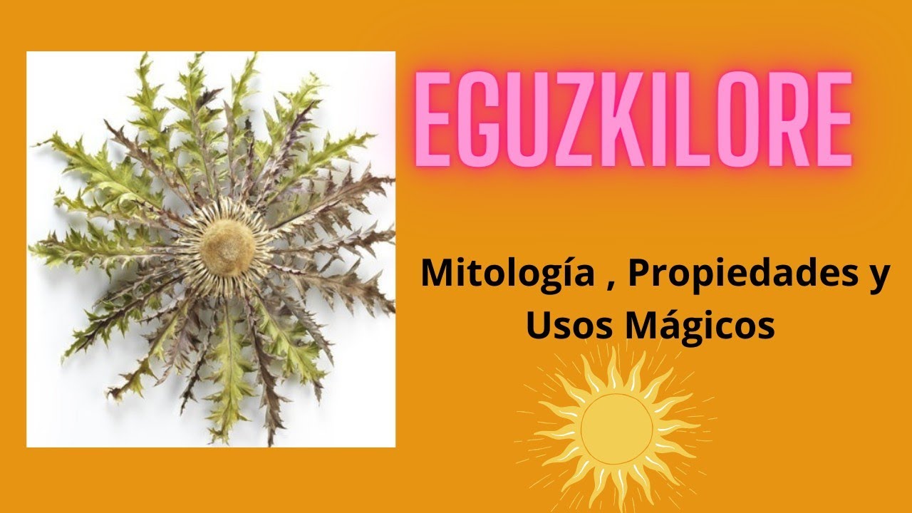 Eguzkilore 🏵️ : Mitología , propiedades y usos mágicos