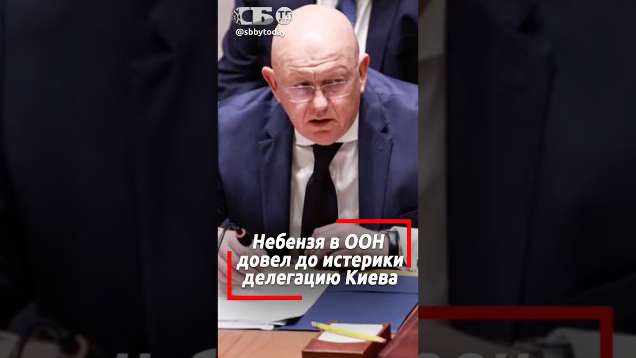 Как речь Небензи в ООН размазала украинскую делегацию?